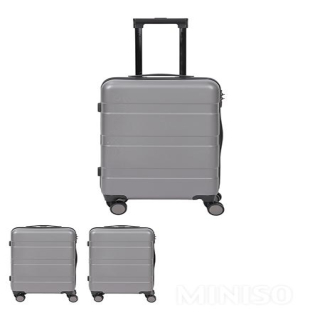 Luggage hotsell cover miniso